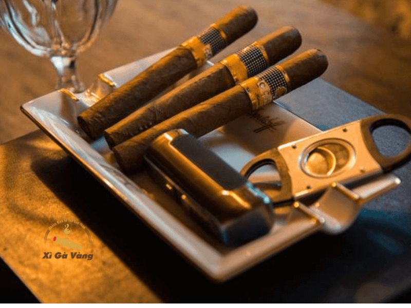 Cách nhận biết xì gà chất lượng tốt cho người mới bắt đầu